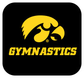 gymnastics graphic