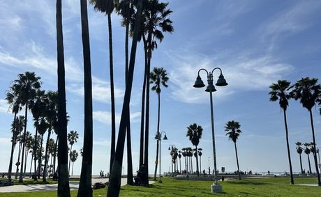 Palm Trees & Holiday Dreams. A Winter Escape to Los Angeles