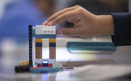 STEM at Home: Creative Experiments for Young Learners