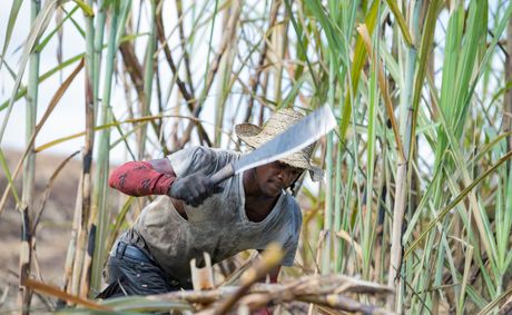 Land Registration Programme Delivers Ownership to Jamaica's Long-settled Communities