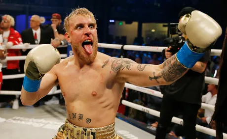 Jake Paul Should Take Year Off Post-Knockout, Doctor Says