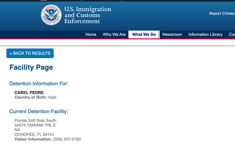 ICE moves Carel Pedre to ‘Alligator Alcatraz’ as #freecarel calls and girlfriend emerge