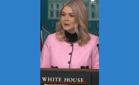 WATCH: Leavitt says President Trump is 'interested in diplomacy' to acquire Greenland