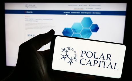 What Polar Capital’s stock drop is really telling us
