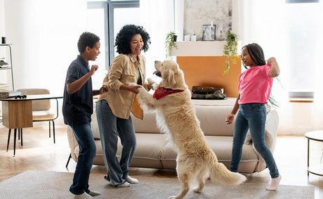 Budgeting for your Pet in 2026: What it Really Costs and Where Pet Parents are Choosing to Spend More