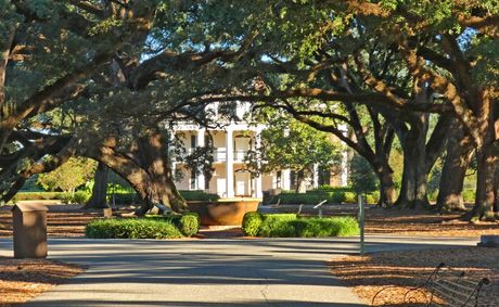 Oak Alley – A Look Into History