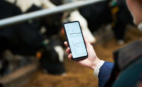 What technology reveals about protecting animals today