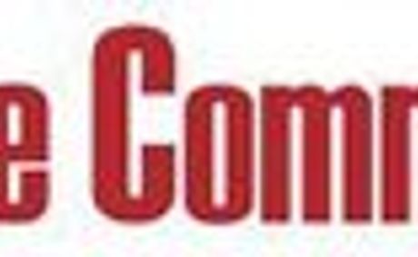 The Brain’s Functional Landscape Explained