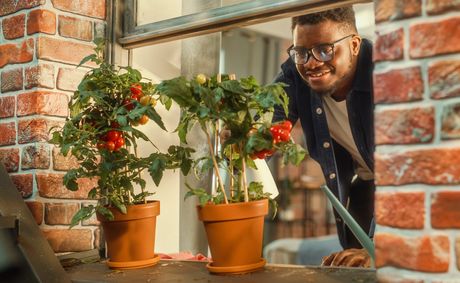 Container Gardening: Guidance to Growing Food in Your Apartment