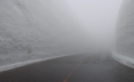 Dense fog blankets 7 major Puget Sound areas today