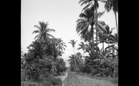 Why plantation slavery may been invented on this small African island