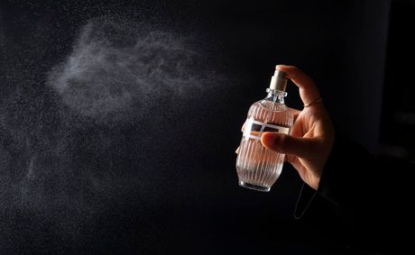 Perfume Notes and the Art of Scented Presence