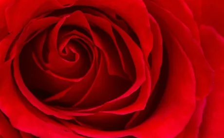 February Is About Loving Too