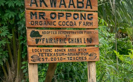 Fairafric Challenges the Past While Conquering the Future of Chocolate in Ghana