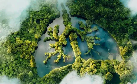 Russia Develops New Method of Air Purification