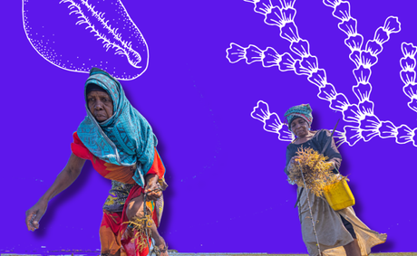 From Resilience to Climate Sovereignty: Black Women Create Community-Led Solutions