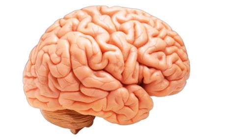 Brain rot is real and these 5 expert tips can help you