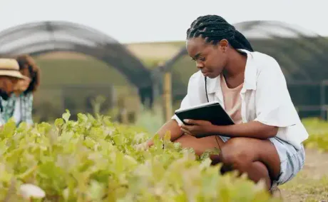 Ethiopia Adopts National Strategies for Sustainable Agricultural Development and Environmental Protection