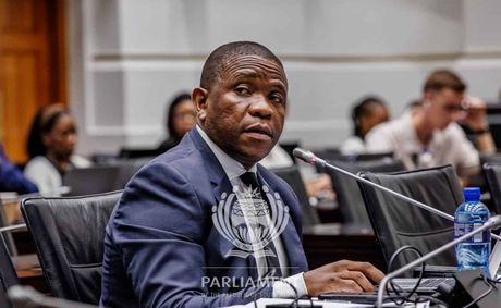 Lt Gen Nhlanhla Mkhwanazi Unleashes Bombshells in Parliament