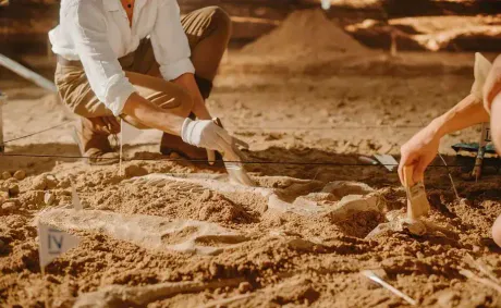 Giant Dinosaur Discovered in Brazil Sheds New Light on Evolution of Massive Herbivores