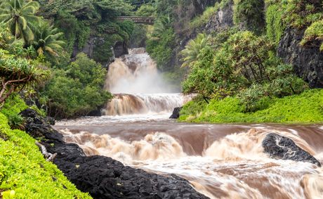 Heavy Rainfall and Saturated Ground Drive Flood Crisis in Hawaiʻi