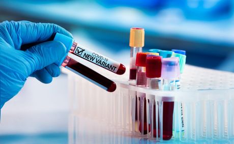 The new Cicada COVID variant spreading fast: what to know