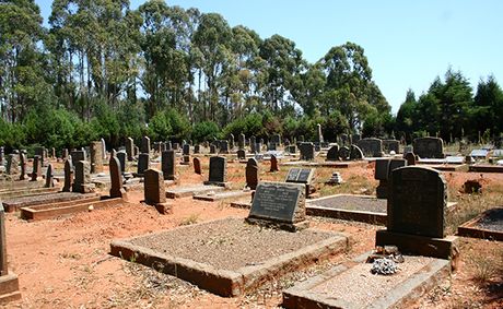 African’s bodies dug up for research in Europe returning home