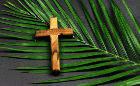 The Problem With The Palms