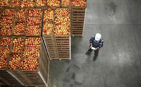 Zero Tariffs Drive Growth in Zimbabwe’s Agricultural Exports to China