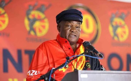 COSATU Hails ConCourt Blow to NTI BRP