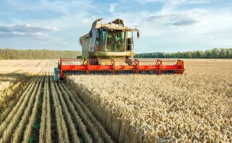 Nigeria Approves 57 New Crop Varieties to Boost Food Security and Agricultural Productivity