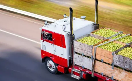 Brazil Secures New Agricultural Export Markets in Ethiopia