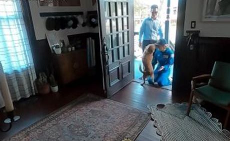 WATCH: Artemis II astronaut reunites with her dog