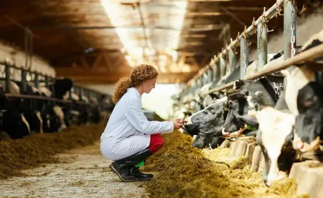 Brazil Allocates US$90 Million to Support Family Dairy Farms