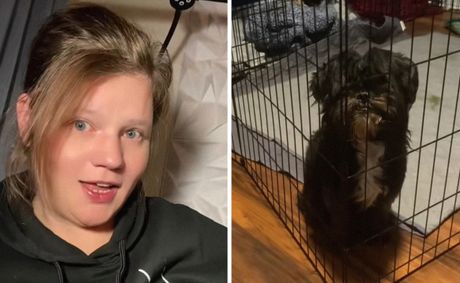 North Carolina woman takes home shelter shih tzu. Then he starts growling at her night one: ‘They told me he was spicy’