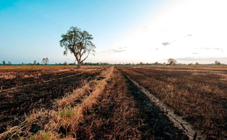 New forecast warns of 100% chance of record super El Niño