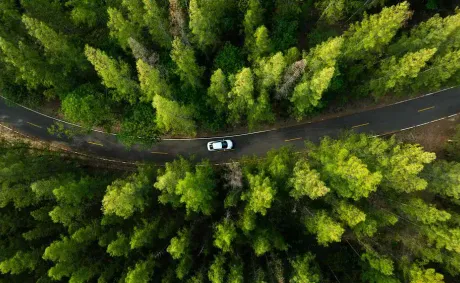Brazil Records Highest New Car Sales in 13 Years as Electric Vehicle Demand Surges