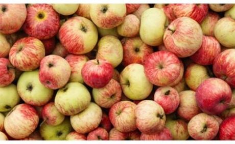 Apples and Blood Sugar: What You Need to Know Before Your Next Bite
