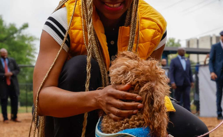 Our Parks Are Going to the Dogs — And We’re Here for It