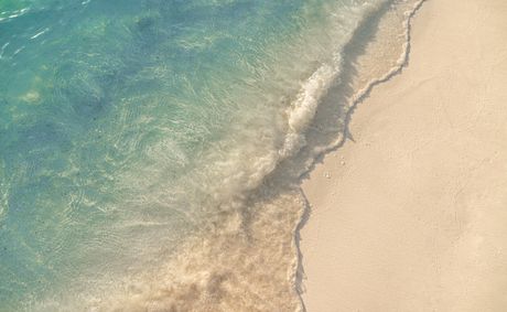 Earth’s oceans just hit their hottest temperature ever
