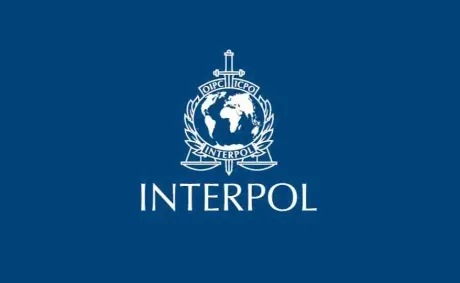 INTERPOL Operation Leads to 58 Arrests in West African Crime Crackdown