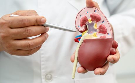 Processed meats and the kidney risk most people miss