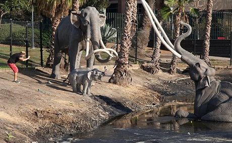 State bonds to finance La Brea Tar Pits improvements