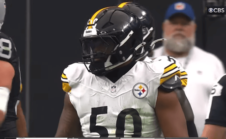 Steelers stun fans with surprising Elandon Roberts release