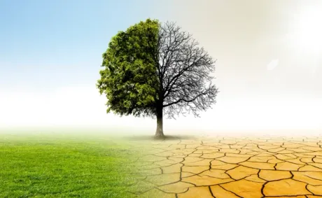 Black Mayors: Climate Change is in America’s Top Five Crucial Issues