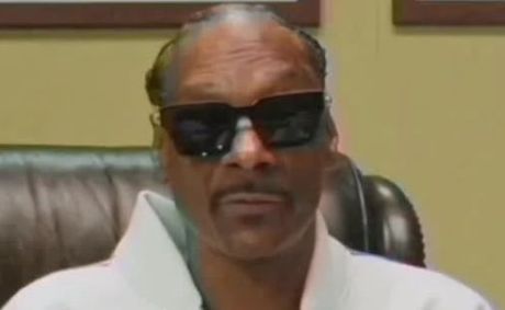 Snoop Dogg Is Hiring an Ice Cream Taster for $10,000 a Month for His Dr. Bombay Brand