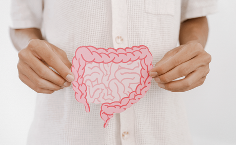 Why gut bacteria could hold the key to your mental health