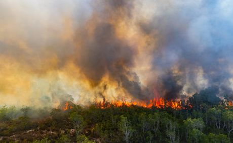 Ross Fire burns past 90,000 acres and still spreading