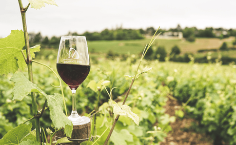Black-owned Wineries and Vineyards Worth Visiting