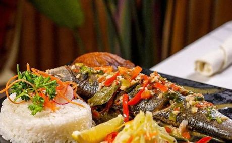 The Grotto BK Announces Its Grand Re-Opening – Caribbean Hideaway Unveils New Sleek Contemporary Design and New Menu Items
